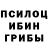 Псилоцибиновые грибы Magic Shrooms Roni Ruiz
