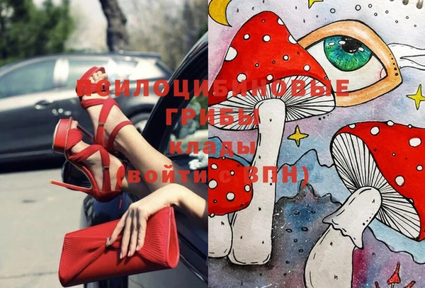 spice Покровск