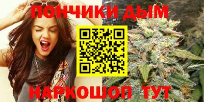 крисы Ирбит