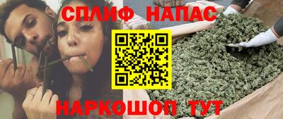 крисы Ирбит