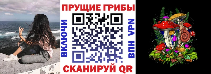 Псилоцибиновые грибы Magic Shrooms  shop официальный сайт  Севастополь 
