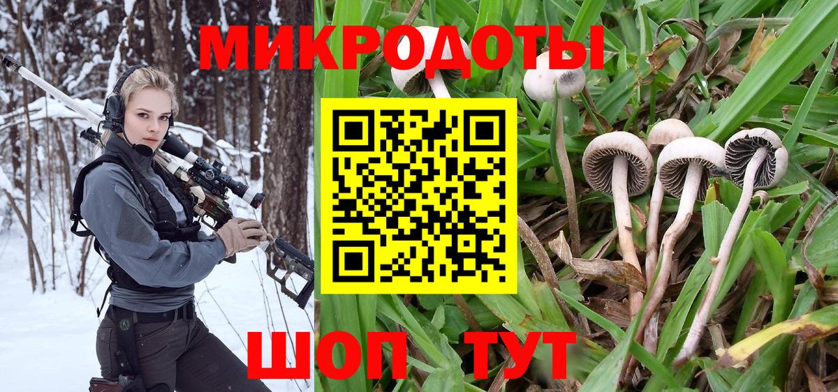 Галлюциногенные грибы Psilocybine cubensis  Галлюциногенные грибы Magic Shrooms  Вход с VPN  Севастополь 